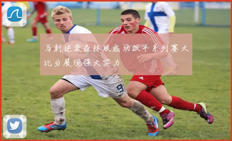 马刺逆袭森林狼成功扳平系列赛大比分展现强大实力